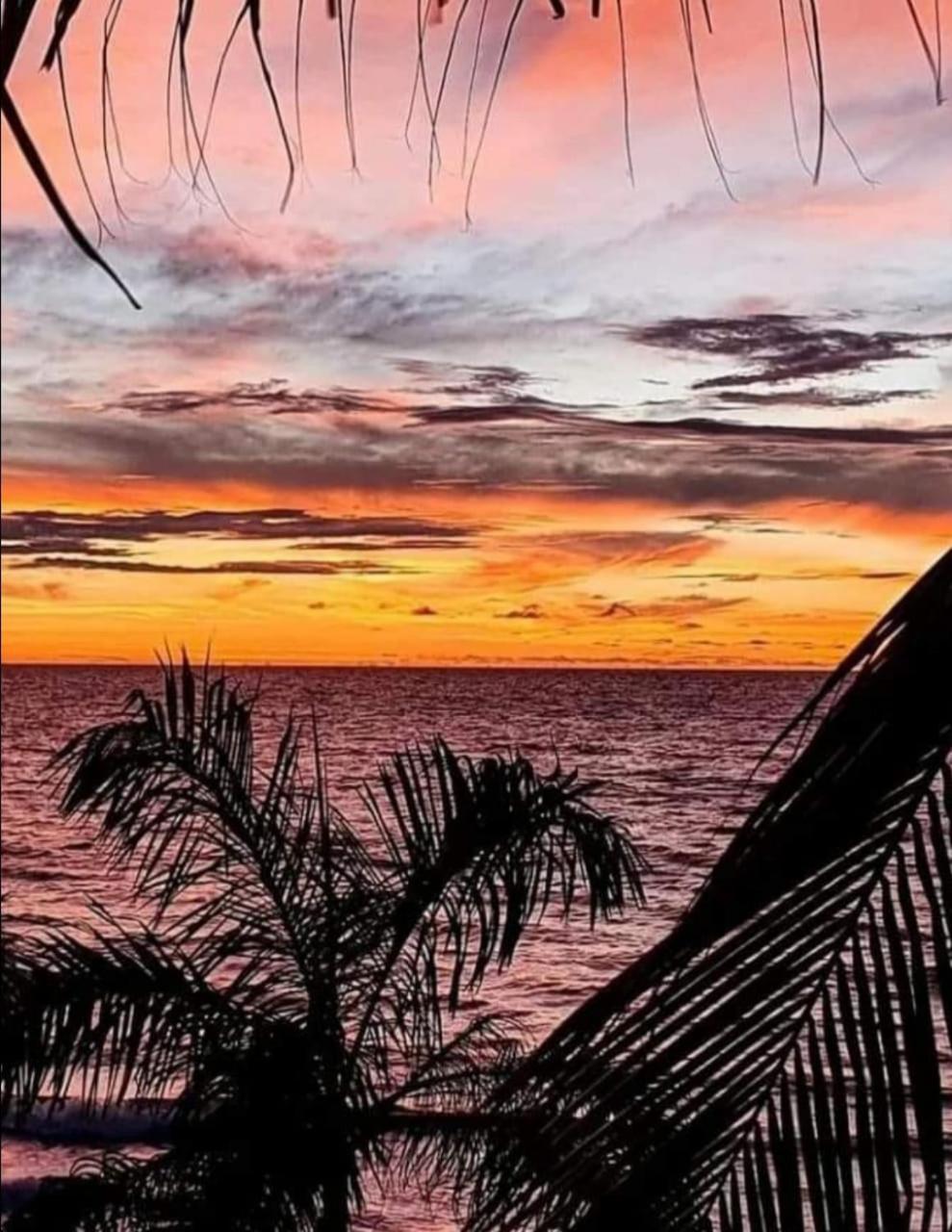 Hostal Corales โตลู ภายนอก รูปภาพ