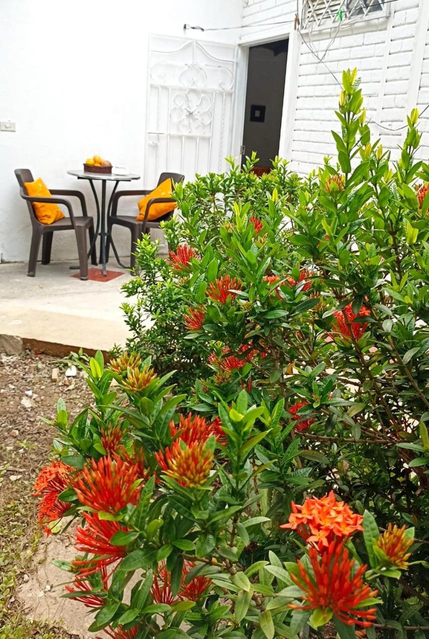 Hostal Corales โตลู ภายนอก รูปภาพ