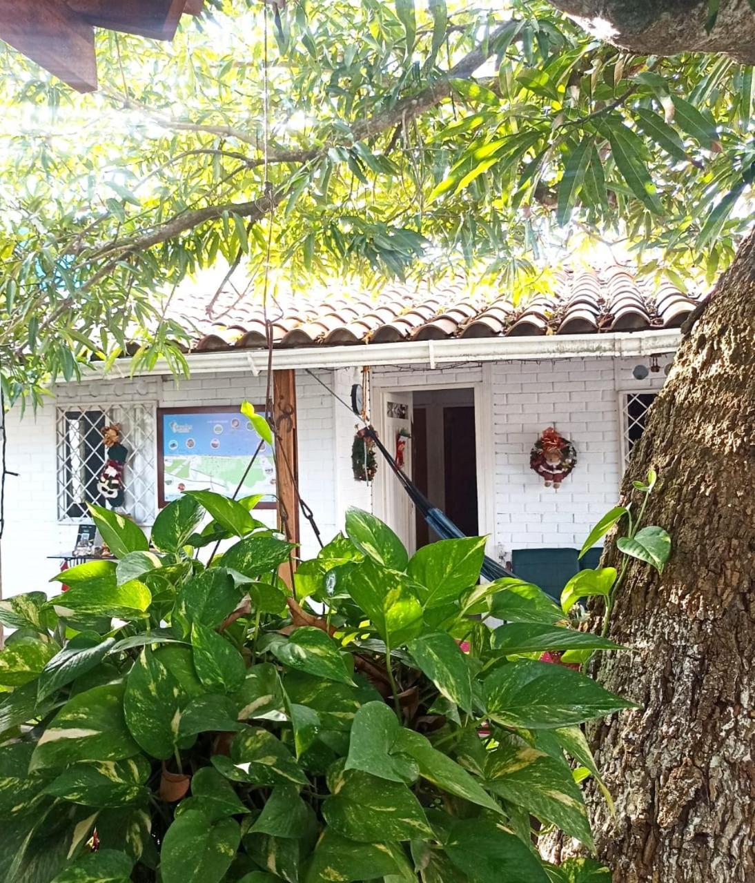 Hostal Corales โตลู ภายนอก รูปภาพ
