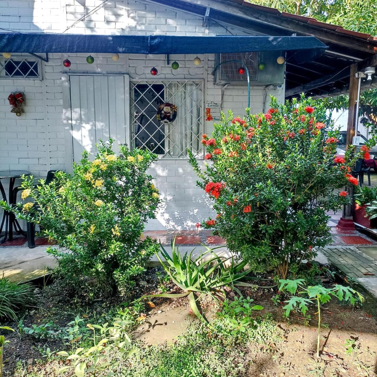 Hostal Corales โตลู ภายนอก รูปภาพ