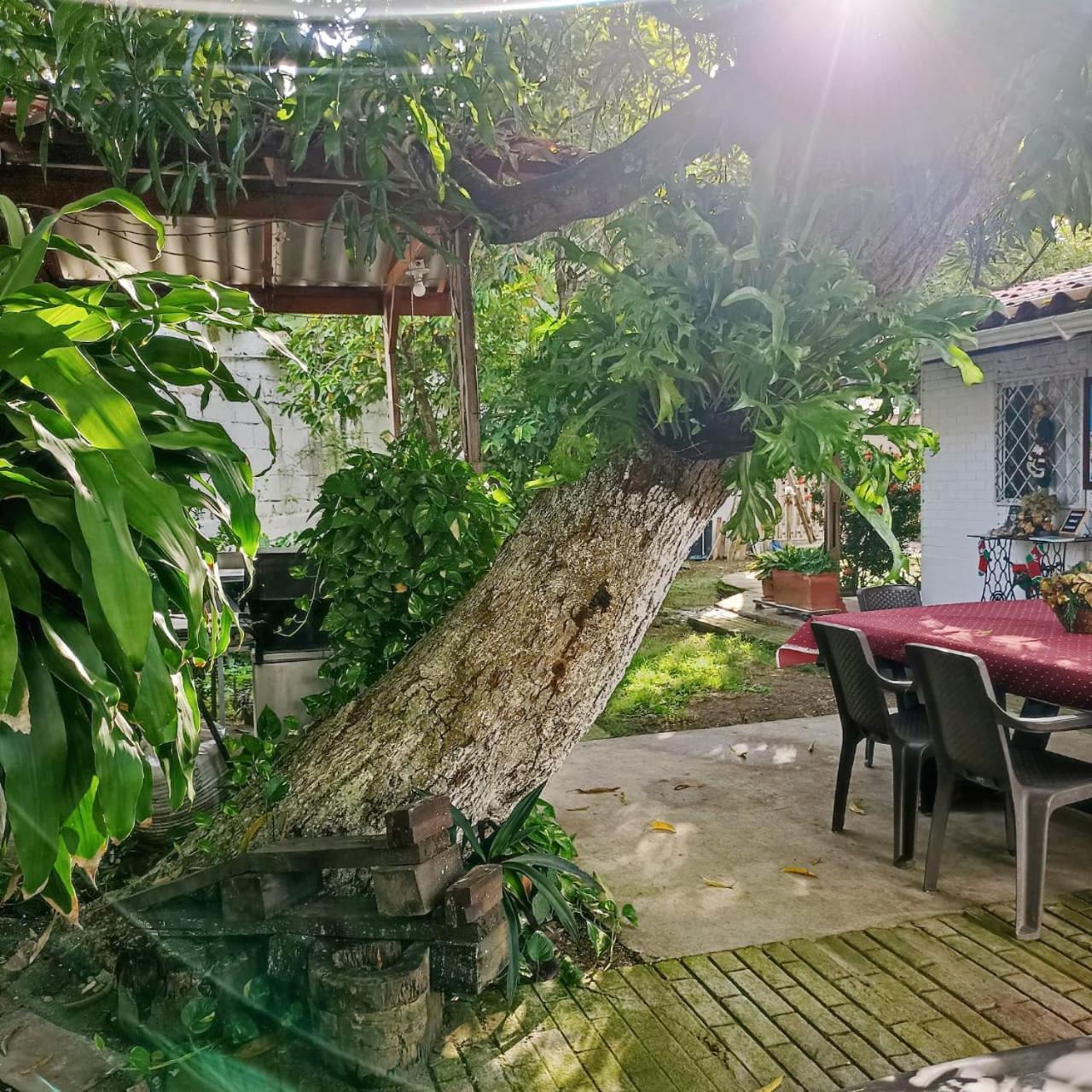 Hostal Corales โตลู ภายนอก รูปภาพ