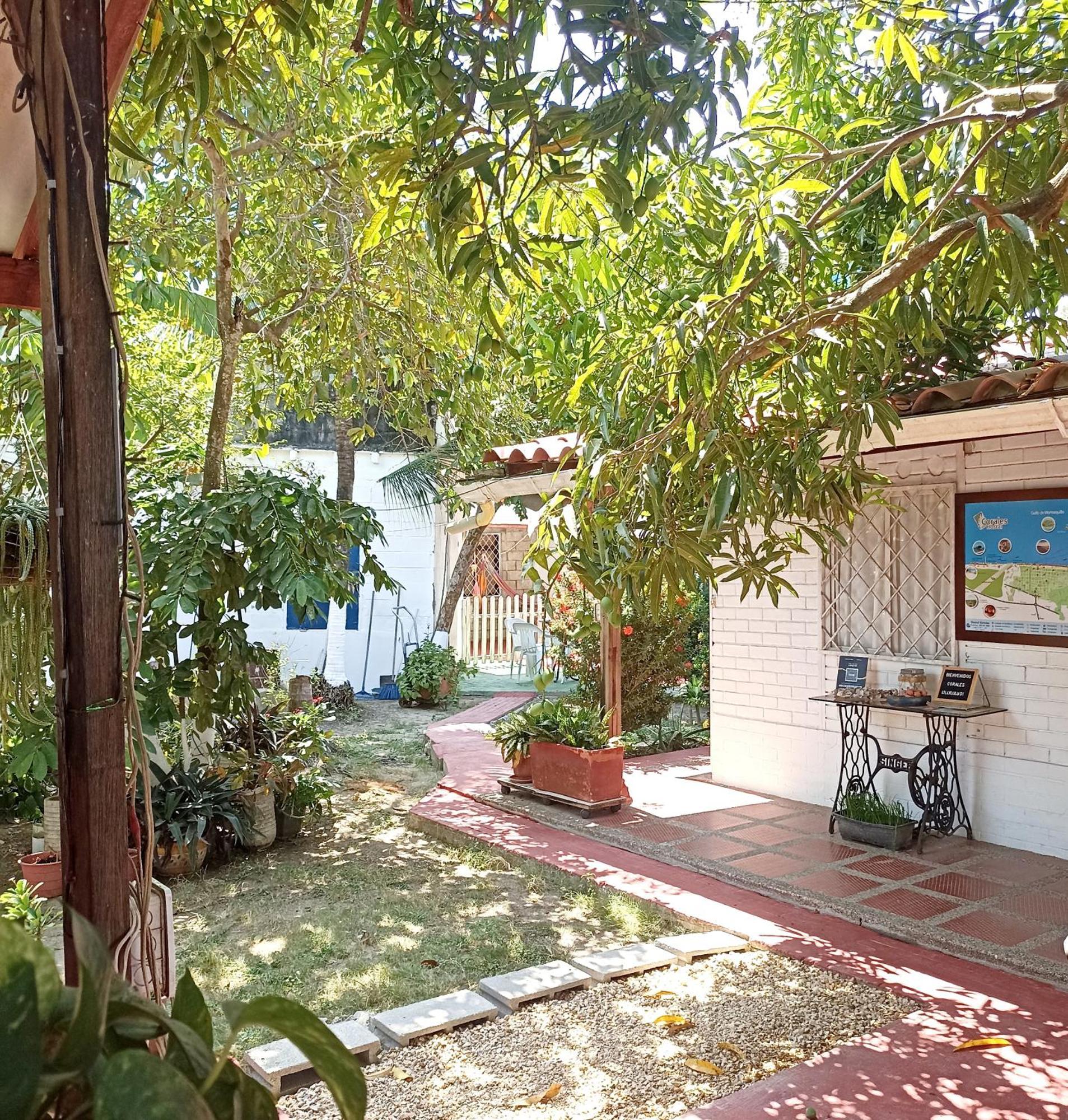Hostal Corales โตลู ภายนอก รูปภาพ